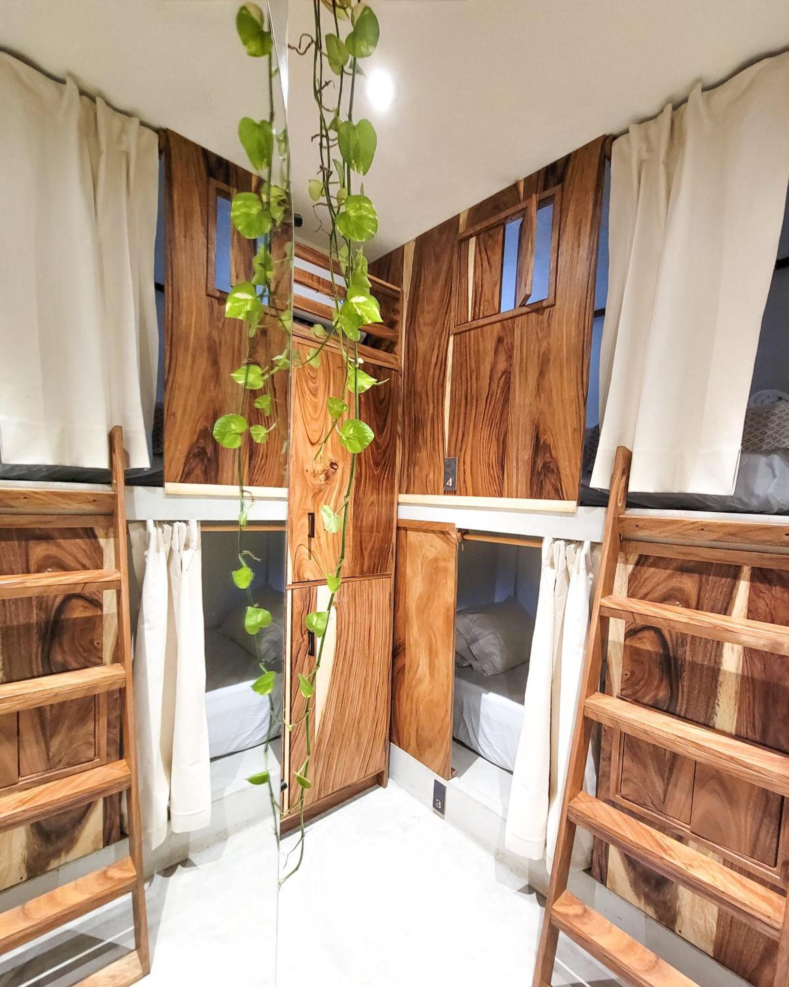 Caracola Boutique Hostel El Paredón Buena Vista Zewnętrze zdjęcie